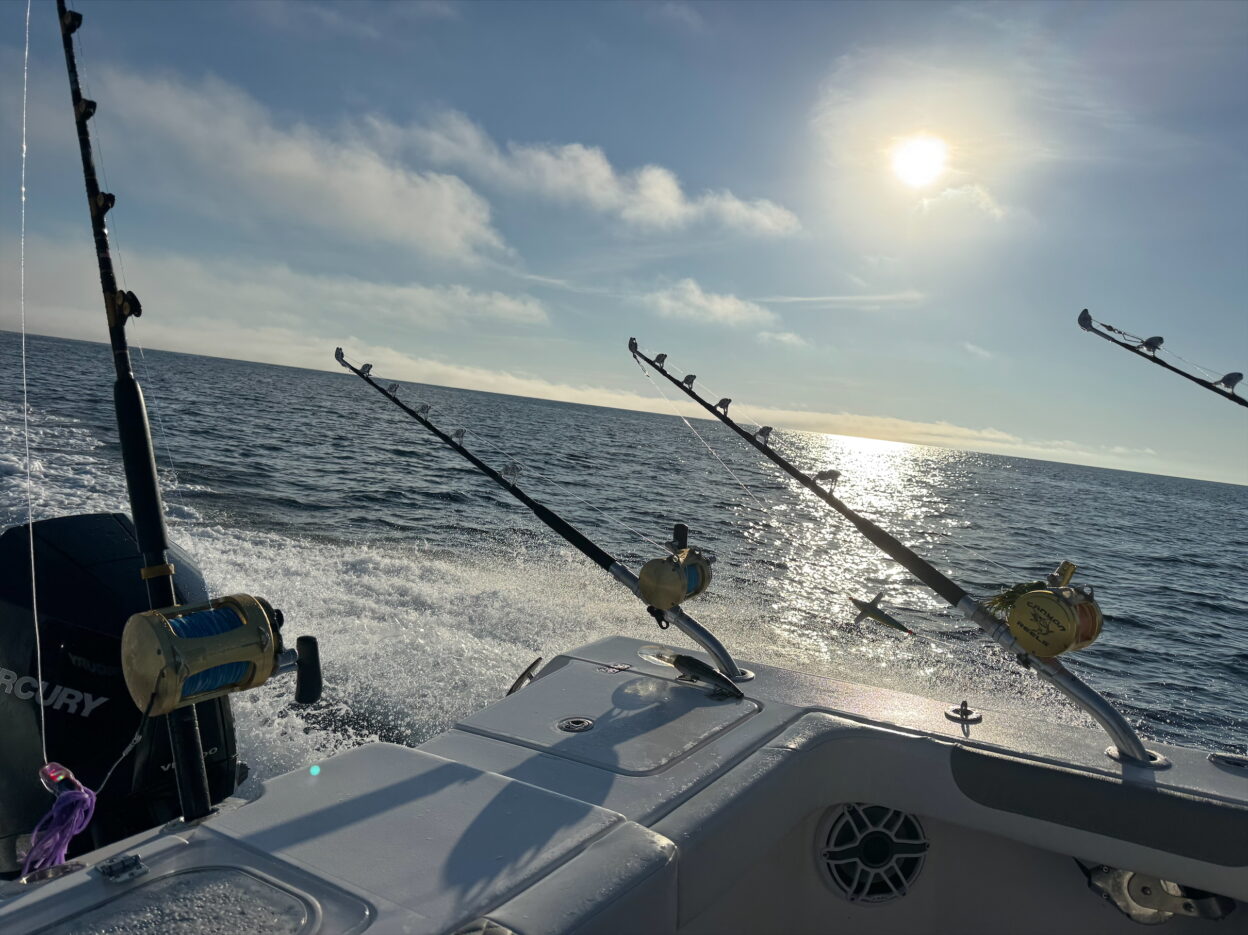 EXTREME SALT Standup