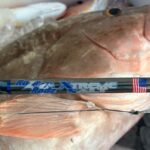 EXTREME SALT Jigging