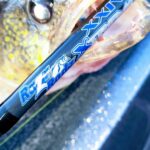 EXTREME XXIV Spinning